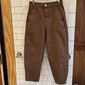 Everlane Utility Barrel Pant